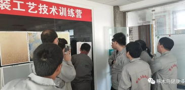 啄木鸟漆业2019年第一期艺术漆技术培训会完美落幕